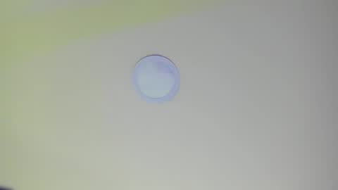   online show from February 21, 11:11 am