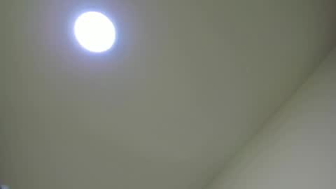   online show from February 24, 11:54 am