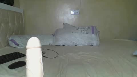 sassie_bee online show from February 21, 10:15 pm