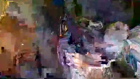 satyayuga online show from February 1, 10:23 am