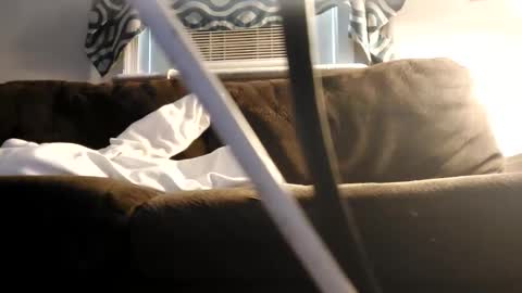 Snapshot of sayhi2mylilguy chatting on February 27, 7:15 pm sayhi2mylilguy online show from February 27, 7:15 pm