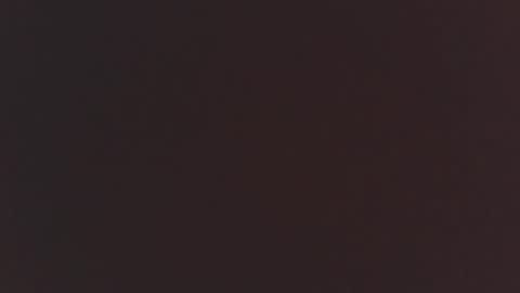 Edgehog online show from November 23, 4:49 pm