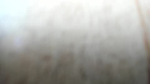 sayo_mao18 online show from September 24, 1:45 am