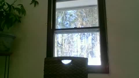 Snapshot of scottpbi52 chatting on January 22, 2:14 pm scottpbi52 online show from January 22, 2:14 pm