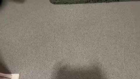 scottyc48 online show from January 17, 10:02 am