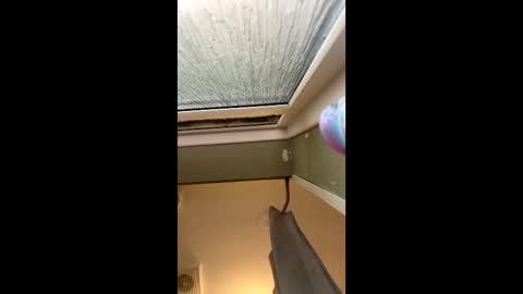 scottyc48 online show from March 27, 2:51 pm