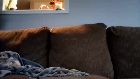 scottyknows101 online show from November 12, 12:51 pm