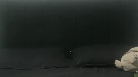 Snapshot of sebastiano_97 chatting on February 25, 3:20 am Sebastiano online show from February 25, 3:20 am
