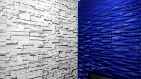 Seigfried online show from March 8, 2:04 am