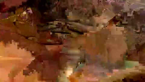 senditquick online show from October 15, 10:05 am