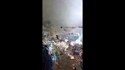 senor49509 online show from January 25, 3:51 am