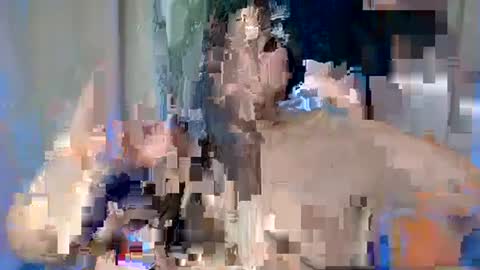 Snapshot of sexy_devotion chatting on February 17, 7:47 am ALFREA online show from February 17, 7:47 am