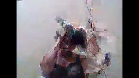 EMILY online show from February 25, 4:05 am