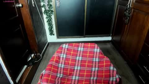 N A F online show from November 19, 8:29 pm