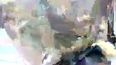 taiyan online show from February 4, 11:16 am