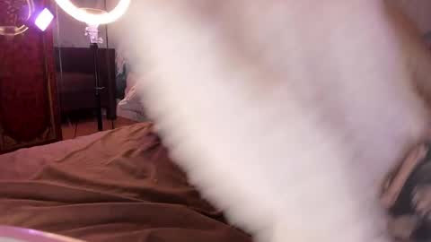 shameles_pussy online show from December 7, 5:15 pm