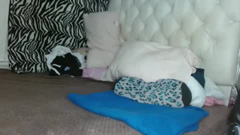 sharlot03 online show from March 11, 12:28 pm