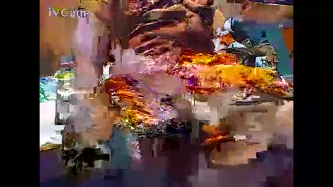 Snapshot of shashee870242 chatting on September 17, 2:15 am Shashee870242 online show from September 17, 2:15 am