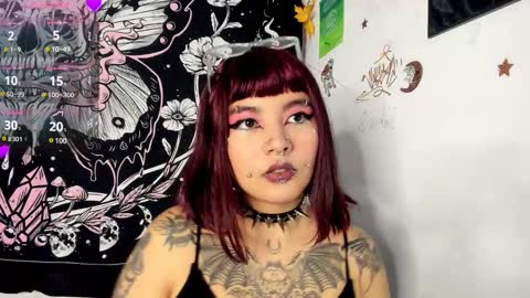 sheccid   online show from December 2, 12:45 am