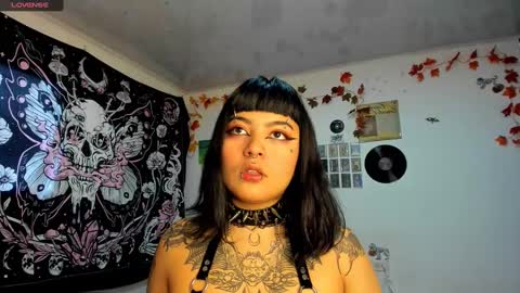 sheccid   online show from January 26, 2:30 pm