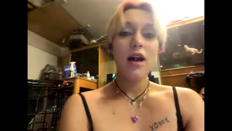 Shelby holes online show from December 29, 1:49 pm