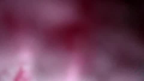 shelsyzevee_ online show from November 28, 1:02 am