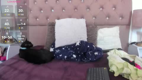 Snapshot of sherahade chatting on September 11, 4:08 pm shera hade online show from September 11, 4:08 pm