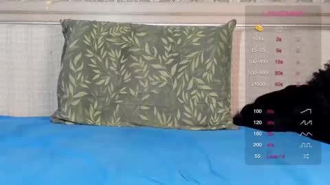 Snapshot of shottan chatting on March 1, 7:04 pm Oleg online show from March 1, 7:04 pm