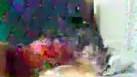 shugar7260 online show from September 26, 6:16 pm