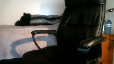 shyboyhugecum2020 online show from July 31, 1:50 am