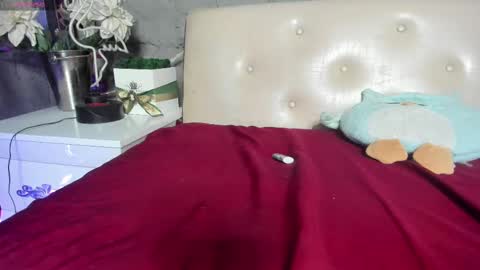 shygurl18hot online show from February 25, 10:04 am