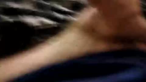 shynessy online show from January 19, 12:53 am