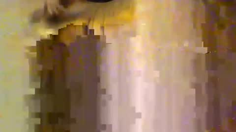 shysadguy67706220 online show from October 19, 3:38 pm