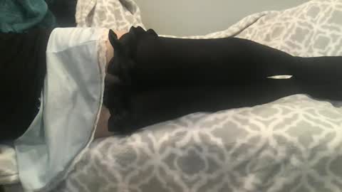 shysissy12 online show from September 28, 1:09 pm