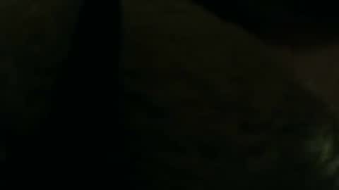 Silkey online show from October 20, 11:37 am