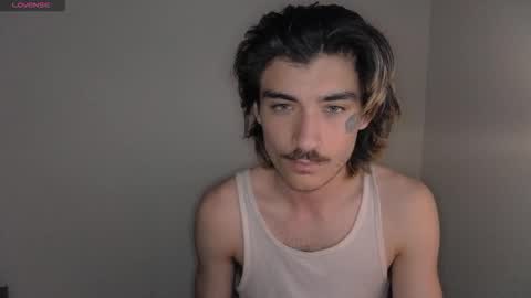 cybin online show from November 23, 10:46 am