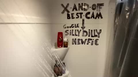 Silly Dilly Newfie online show from July 4, 6:00 pm