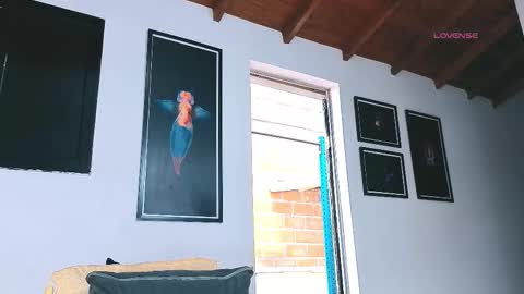 silvabranko online show from March 6, 9:14 pm