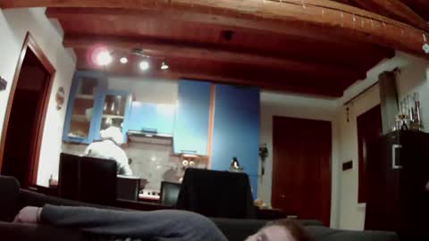 simodav online show from February 16, 5:44 pm