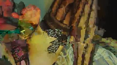 Snapshot of sir__loin411 chatting on February 20, 5:09 pm Sir Loin online show from February 20, 5:09 pm