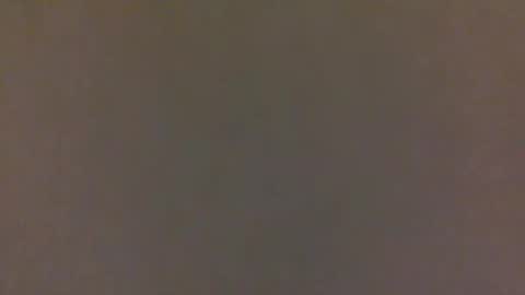 Bare like Bear online show from February 11, 11:42 am