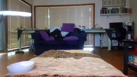 sissyanalslut521247 online show from January 17, 9:28 pm