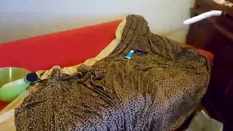 sissyanalslut521247 online show from January 18, 6:56 am