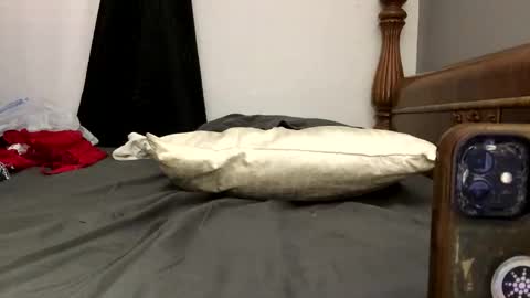 Wheressheldo no limits online show from January 8, 7:25 am