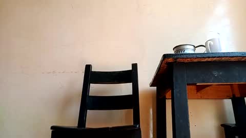 TOMY online show from December 28, 3:26 pm