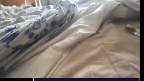 Snapshot of skima48 chatting on September 17, 7:45 am skima48 online show from September 17, 7:45 am