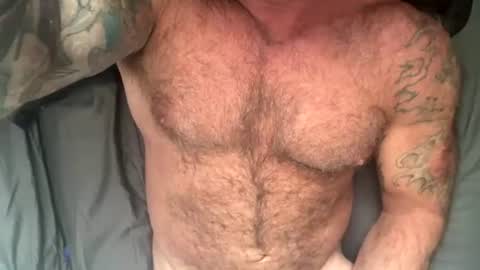 BEEF online show from July 25, 11:41 am