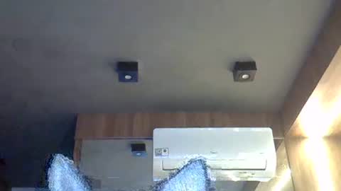 skinnykittencam online show from November 10, 8:39 am