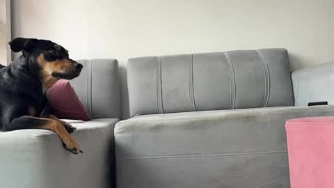 skinnylatin69 online show from February 3, 6:17 pm