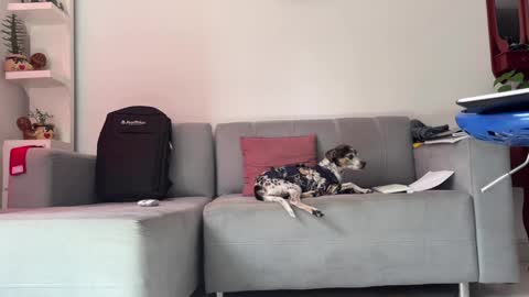 skinnylatin69 online show from January 31, 6:36 pm